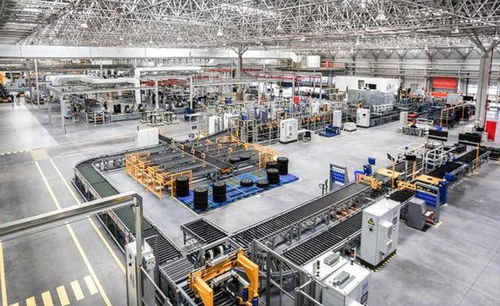 10歲穿黑衣被父母扔門口等死,成年拼來富豪人生,卻越有錢越痛苦