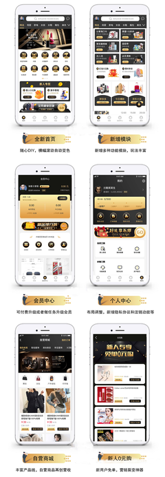 原生獨(dú)立定制開發(fā)淘客APP