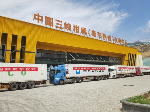 金橙飄香拓眼界 重慶奉節品牌添翼，促產業煥發新機